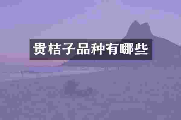 贵桔子品种有哪些
