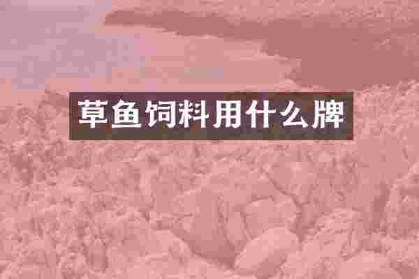 草鱼饲料用什么牌