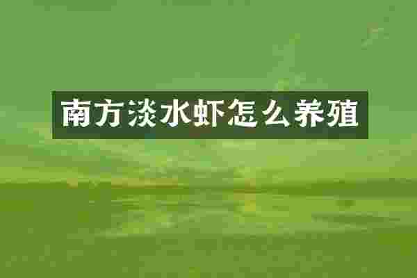 南方淡水虾怎么养殖