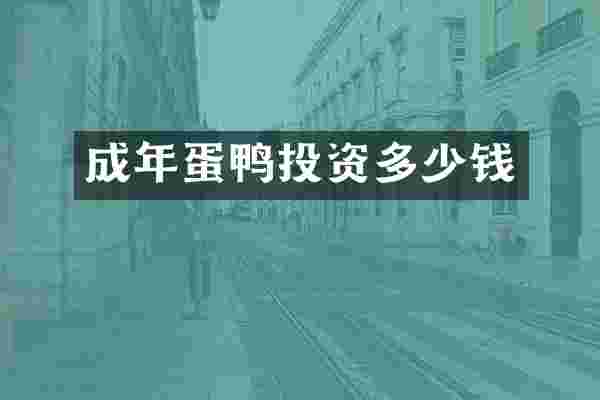 成年蛋鸭投资多少钱