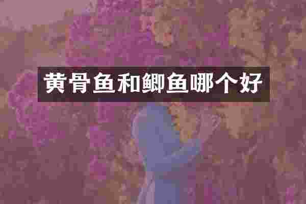 黄骨鱼和鲫鱼哪个好