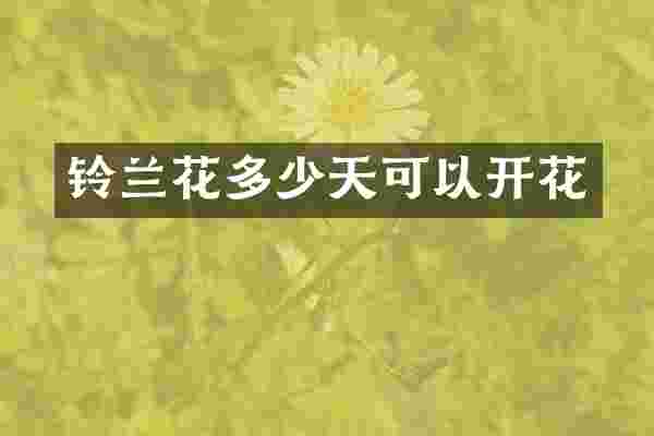 铃兰花多少天可以开花