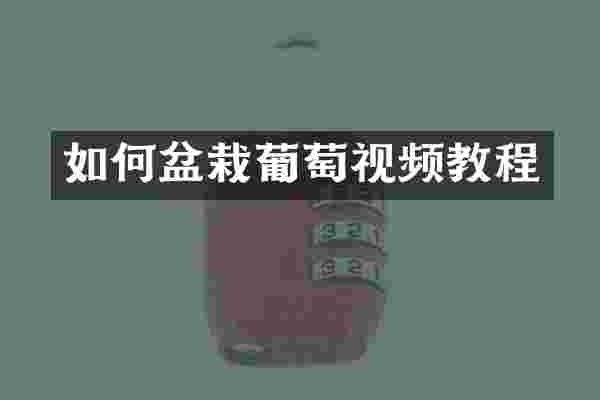如何盆栽葡萄视频教程