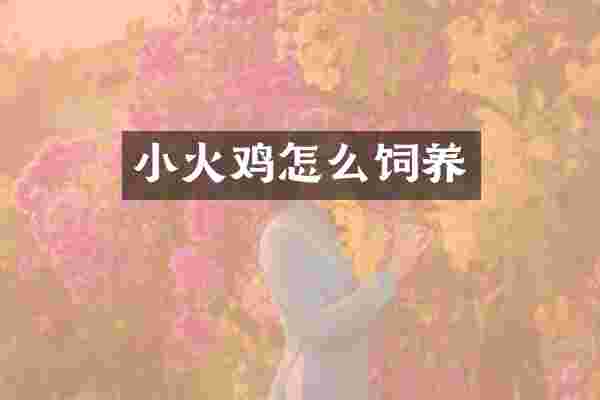 小火鸡怎么饲养