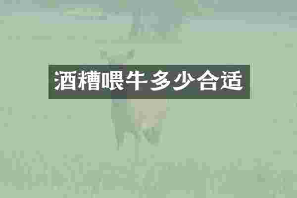 酒糟喂牛多少合适