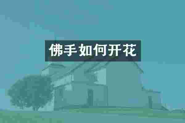 佛手如何开花