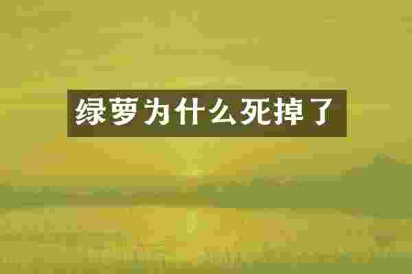 绿萝为什么死掉了