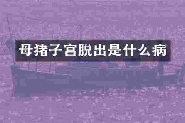 母猪子宫脱出是什么病