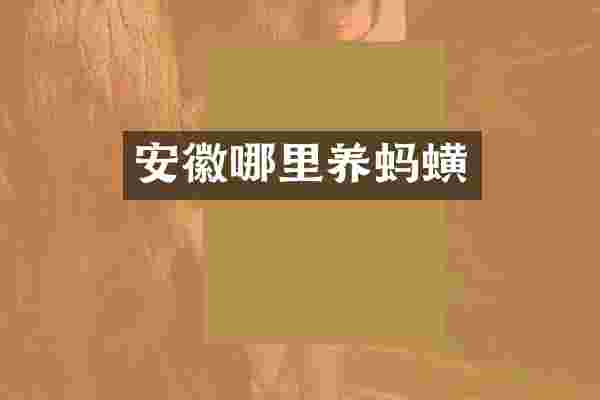 安徽哪里养蚂蟥