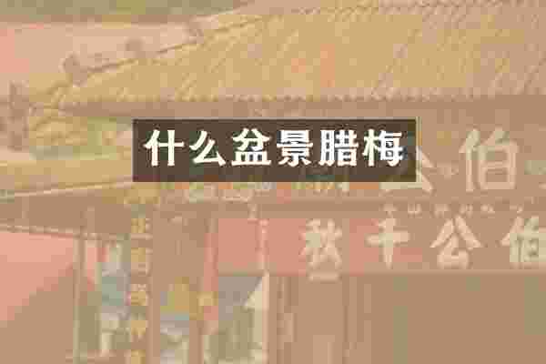 什么盆景腊梅