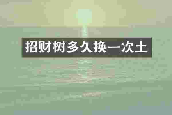 招财树多久换一次土