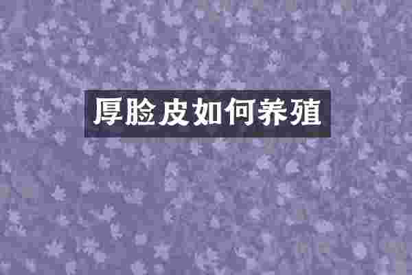 厚脸皮如何养殖