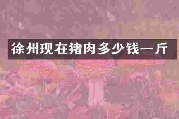 徐州现在猪肉多少钱一斤
