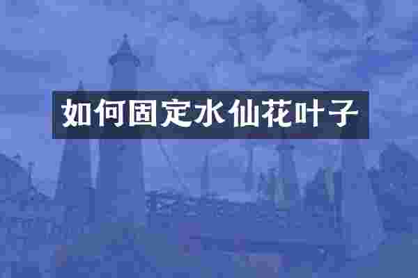 如何固定水仙花叶子