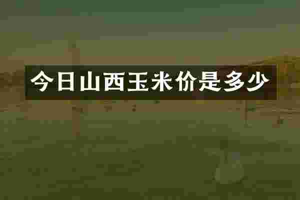 今日山西玉米价是多少