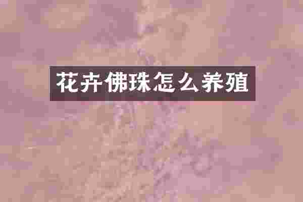 花卉佛珠怎么养殖