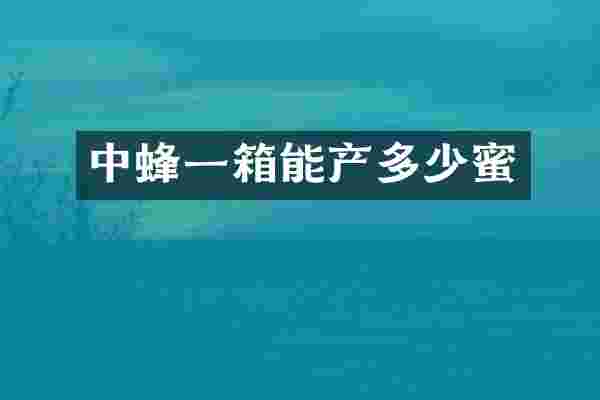 中蜂一箱能产多少蜜