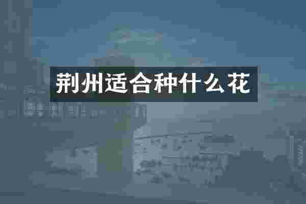 荆州适合种什么花