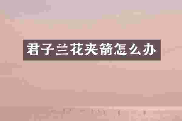 君子兰花夹箭怎么办