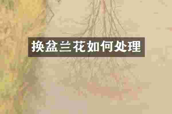 换盆兰花如何处理