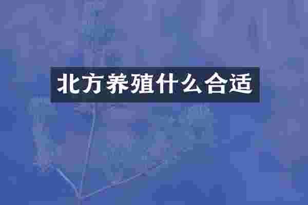 北方养殖什么合适