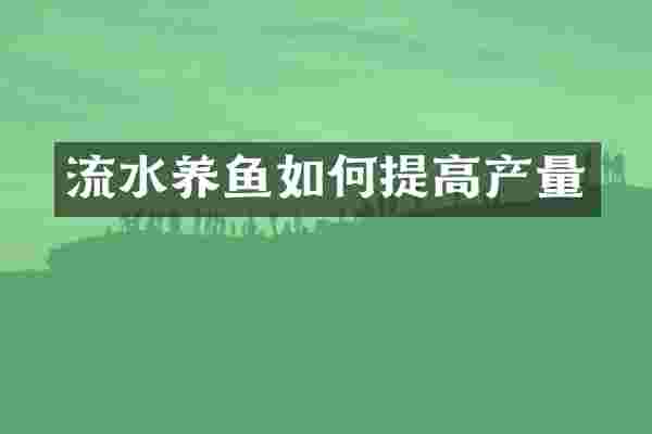 流水养鱼如何提高产量