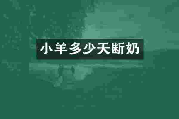 小羊多少天断奶