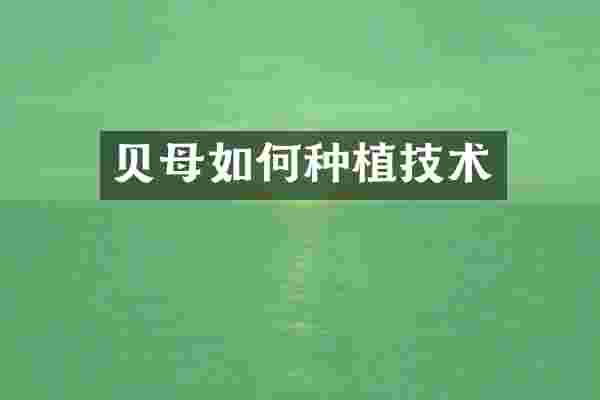 贝母如何种植技术