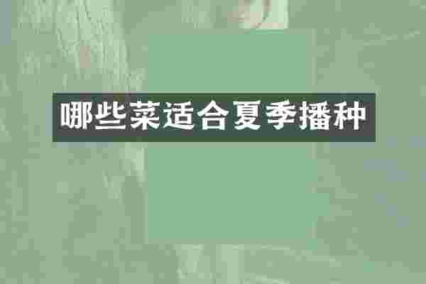 哪些菜适合夏季播种