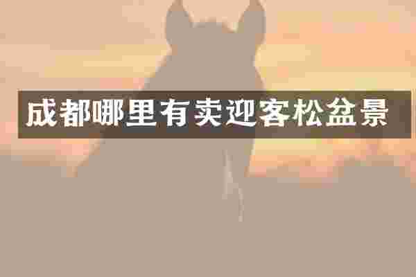 成都哪里有卖迎客松盆景