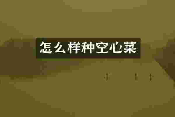怎么样种空心菜