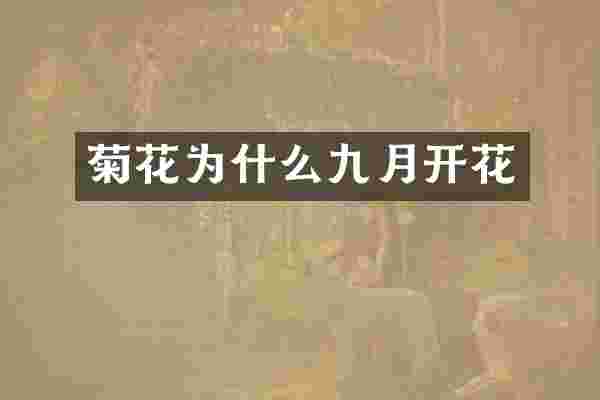 菊花为什么九月开花