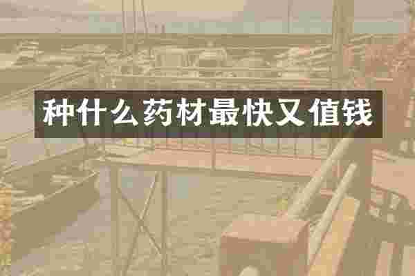 种什么药材最快又值钱