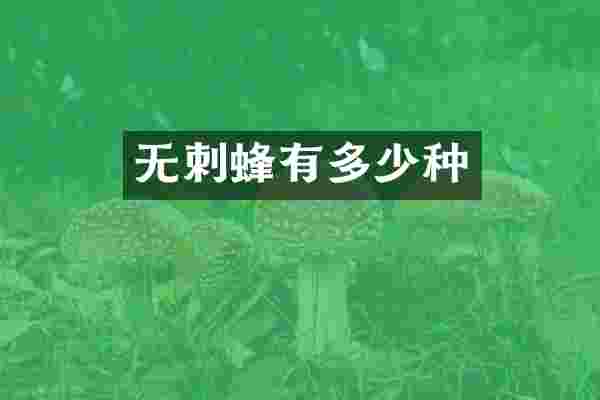无刺蜂有多少种