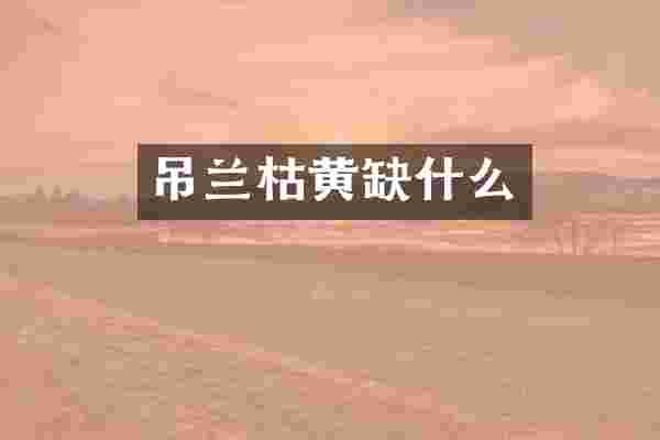 吊兰枯黄缺什么