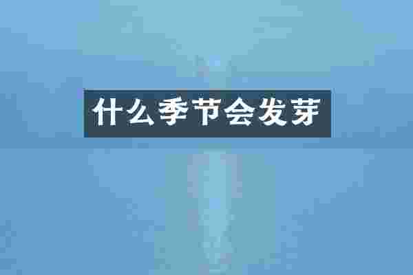 什么季节会发芽