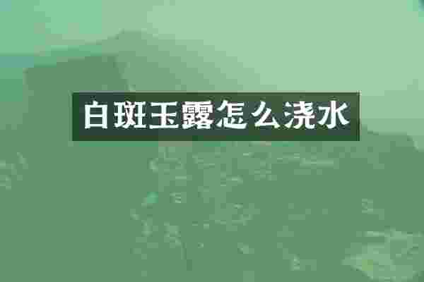 白斑玉露怎么浇水