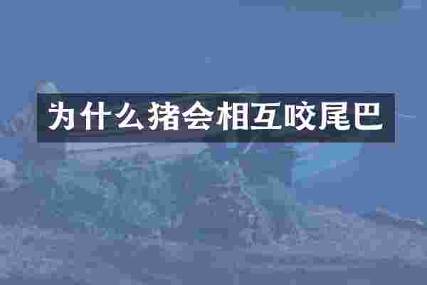 为什么猪会相互咬尾巴