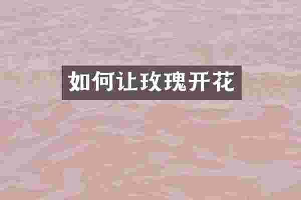 如何让玫瑰开花