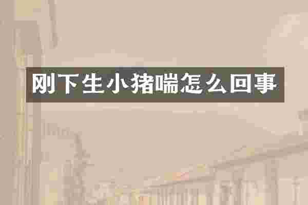 刚下生小猪喘怎么回事