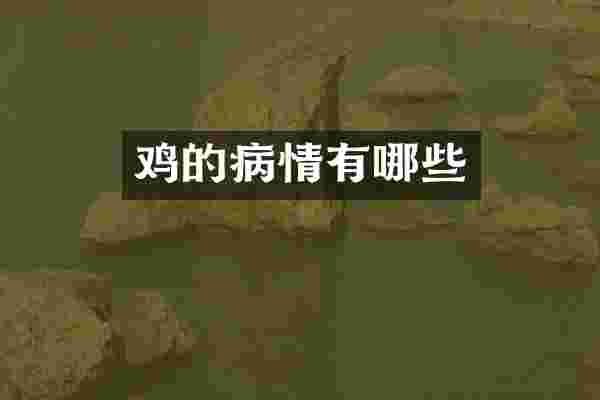 鸡的病情有哪些