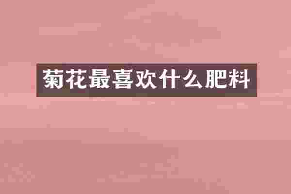 菊花最喜欢什么肥料