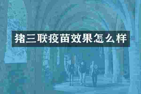 猪三联疫苗效果怎么样