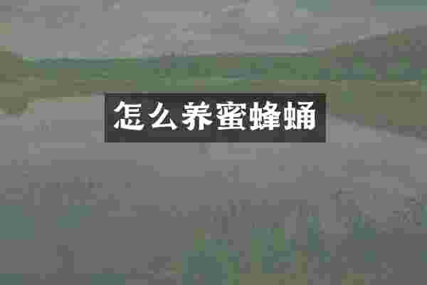 怎么养蜜蜂蛹
