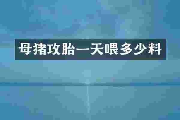 母猪攻胎一天喂多少料