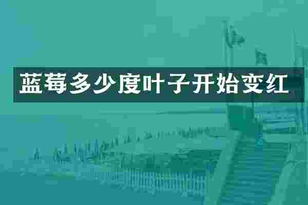 蓝莓多少度叶子开始变红