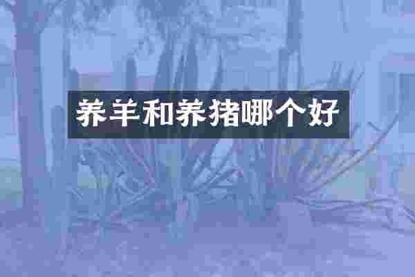 养羊和养猪哪个好