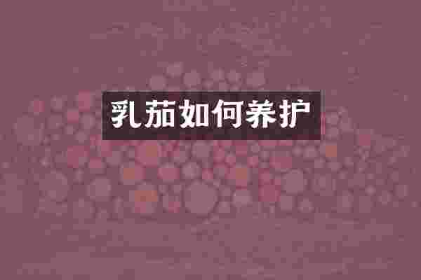 乳茄如何养护