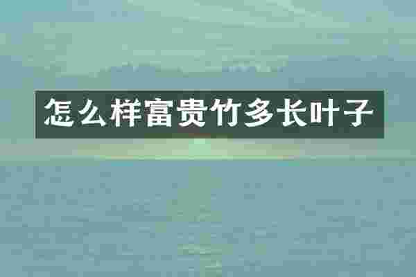 怎么样富贵竹多长叶子