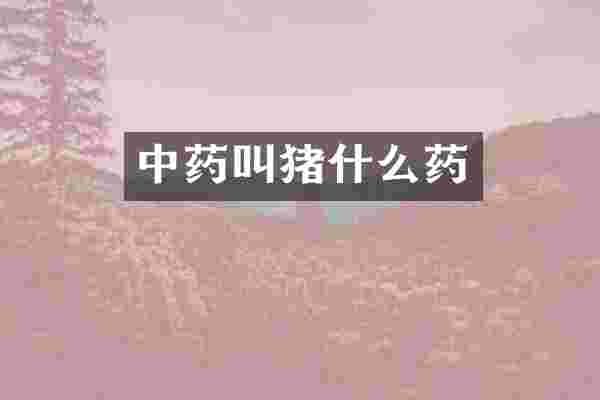 中药叫猪什么药